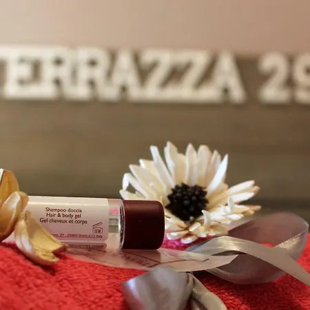 Terrazza 29